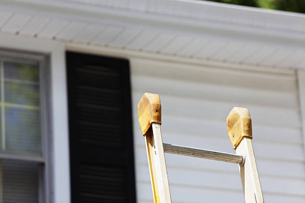 Best Dumpster Rental Services  in Diberville, MS